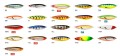 minnow spoon.jpg