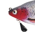 abk_pm_GUMA-WESTIN-RICKY-THE-ROACH-MJ-R2F-14cm-41g-REAL-ROACH-38913_2.jpg