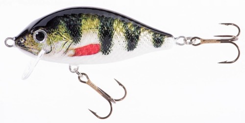WOBLER-JAXON-Holo-Select-KARAS-SW-9cm-21g-OEX-VJ-KB09FOEX.jpg