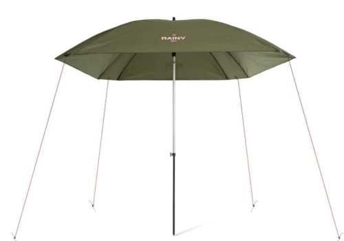 delphin rainy.jpg