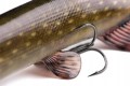GUMA-FOX-RAGE-ULTRA-REALISTIC-PIKE-REPLICANT-15cm-Kod-producenta-NRE508.jpg