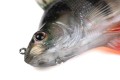 GUMA-FOX-RAGE-10cm-UZBROJONA-ULTRA-REALISTIC-PERCH-Kod-producenta-NRE504.jpg