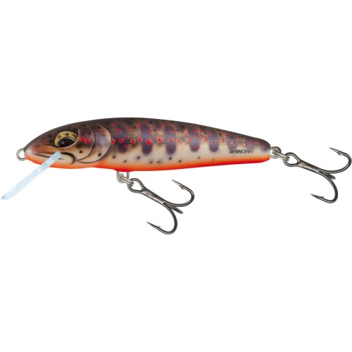 wobler-salmo-minnow-60cm-sinking-fresh-water-minnow.jpg