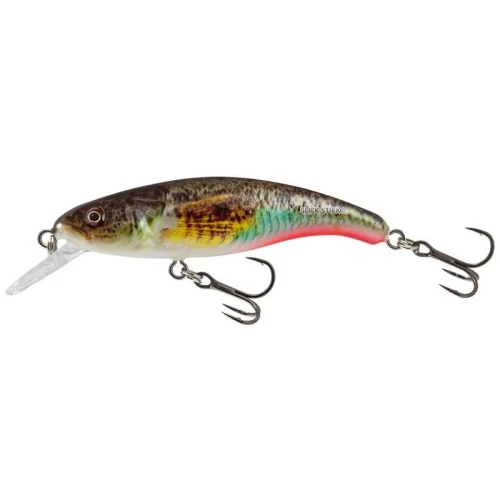 wobler-salmo-slick-stick-floating-6cm45g-supernatural-gobie.webp