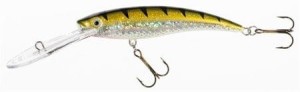 Wobler Jaxon Holo Select Diver 11cm 24g RDOB