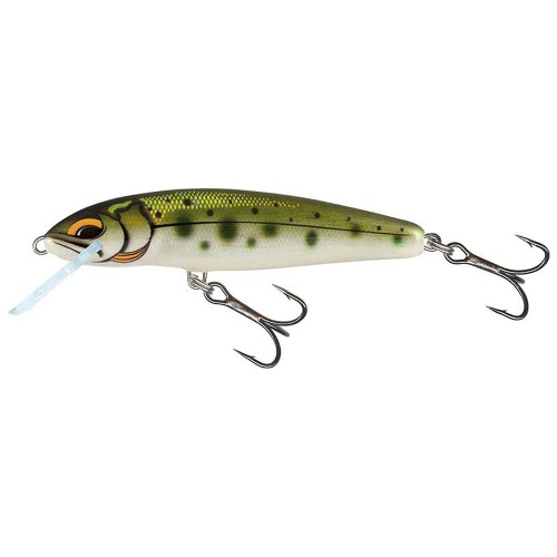 pol_pl_Salmo-MINNOW-Sinking-5cm-5g-YAMAME-AYU-QMW223-27374_1.jpg
