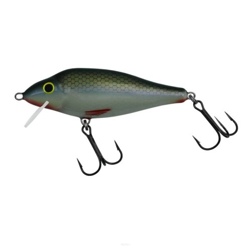large_ares-70SR1-kolor-R.jpg