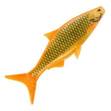 Przynęta gumowa STORM RIP Roach 08 Redan Shiner