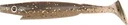 Strike-Pro-Piglet-Shad-10cm-7g-C016.webp