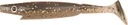Strike-Pro-Piglet-Shad-10cm-7g-C016.webp