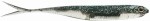 Przynęta gumowa Fish Arrow Flash-J Shad 4" Plus SW Inakko / Silver 