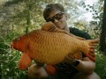 Pluszowy-karp-poduszka-Delphin-Carpy-60cm-Marka-Delphin.jpg
