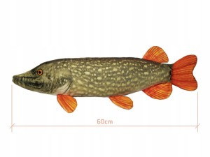 Pluszowy szczupak poduszka przytulanka Delphin DELPHIN PIKY 60 cm