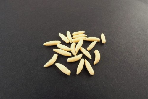 Sztuczny Robak Naturalny MAD CARP  sklep rybka.jpg