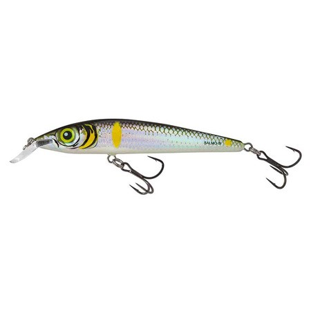SMELT.jpg