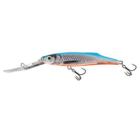 BLUE SHAD.jpg