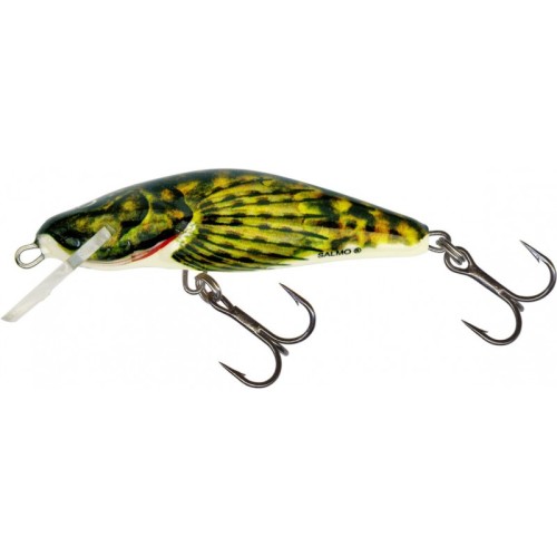 salmo-hornet-50cm-hp-floating.jpg