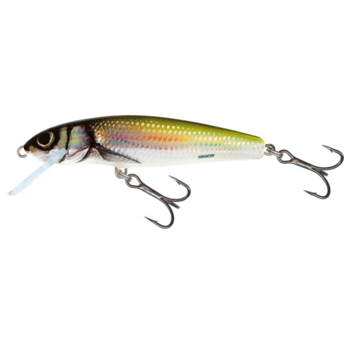 wobler-salmo-minnow-70cm-sinking-hbl-holo-bleak.jpg
