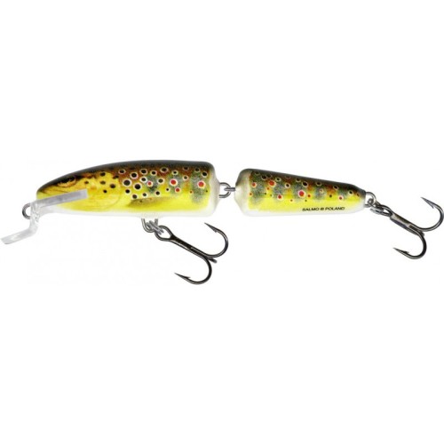 salmo-fanatic-70cm-t.jpg