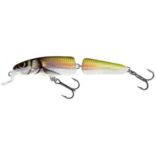 salmo-fanatic-70cm-hbl.jpg