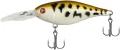 d6baedeae508c54be80a95345c6d.jpg