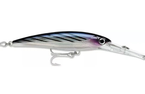 Wobler  Rapala X-Rap Magnum Divebait -40/12m -Bonito-sklep rybka