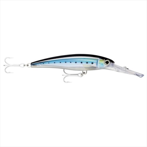 Wobler  Rapala X-Rap Magnum Divebait- 40/12m -Blue Sardine-SKLEP RYBKA