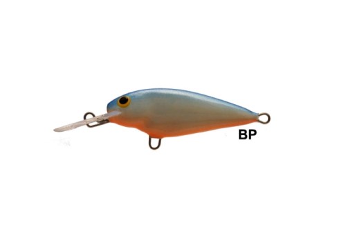 bp i.jpg