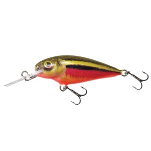 Wobler Dorado Invader 5.0cm RBD Floating