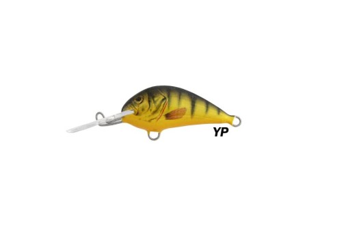 YP B.jpg