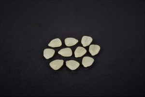 Sztuczna Kukurydza Pływająca FLUO 10szt.