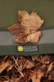 MATA podłogowa MIVARDI Bivvy New Dynasty