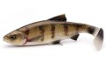 PRZYNĘTA Savage Gear 4D RIVER ROACH 18cm Zander