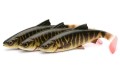 PRZYNĘTA Savage Gear 4D RIVER ROACH 18cm Pike