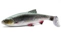 PRZYNĘTA Savage Gear 4D RIVER ROACH 18cm Green Silver