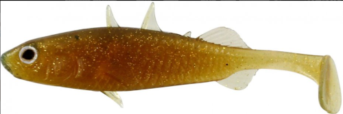 STAINLEY BACK MOTOROIL GOLD 7,5 CM.png