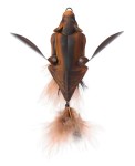 Przynęta Savage Gear Nietoperz 3D Bat 12.5cm - Brązowy