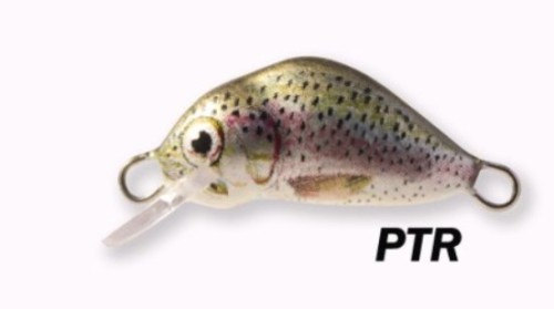 PTRK3.jpg