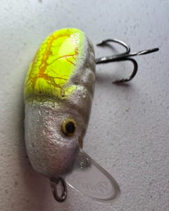 HUNTER WOBLER CHRABĄSZCZ XXL T