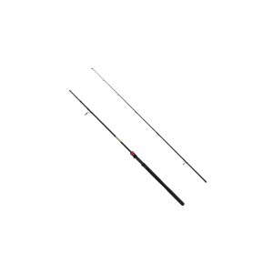 Wędka Delphin Murena Power 240cm / 125g