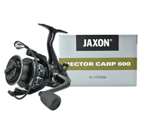 HECTOR CARP 600.png