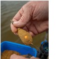 p25629-zaneta-sonubaits-supercrush-mega-carp-method-mix-original-2kg.jpg