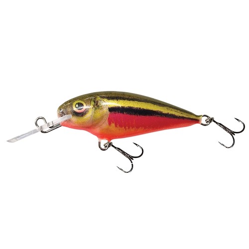 WOBLER DORADO  RBD.jpg