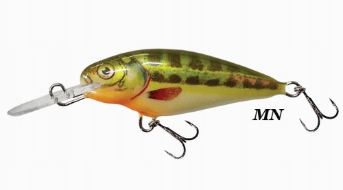 WOBLER DORADO INVADER MN.jpg