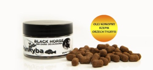 OCHECH.jpg